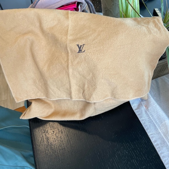Authentic Louis Vuitton Backpack - Picture 4 of 4